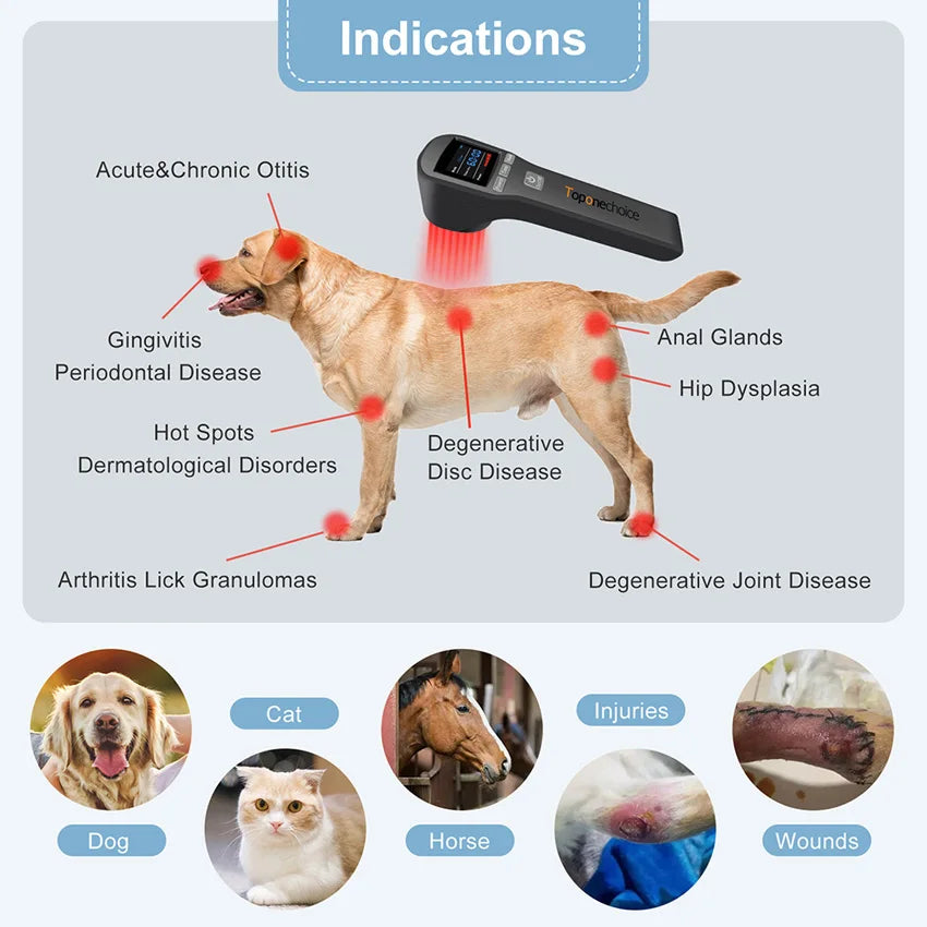 Physiotherapy Light Therapy Cold Laser Device