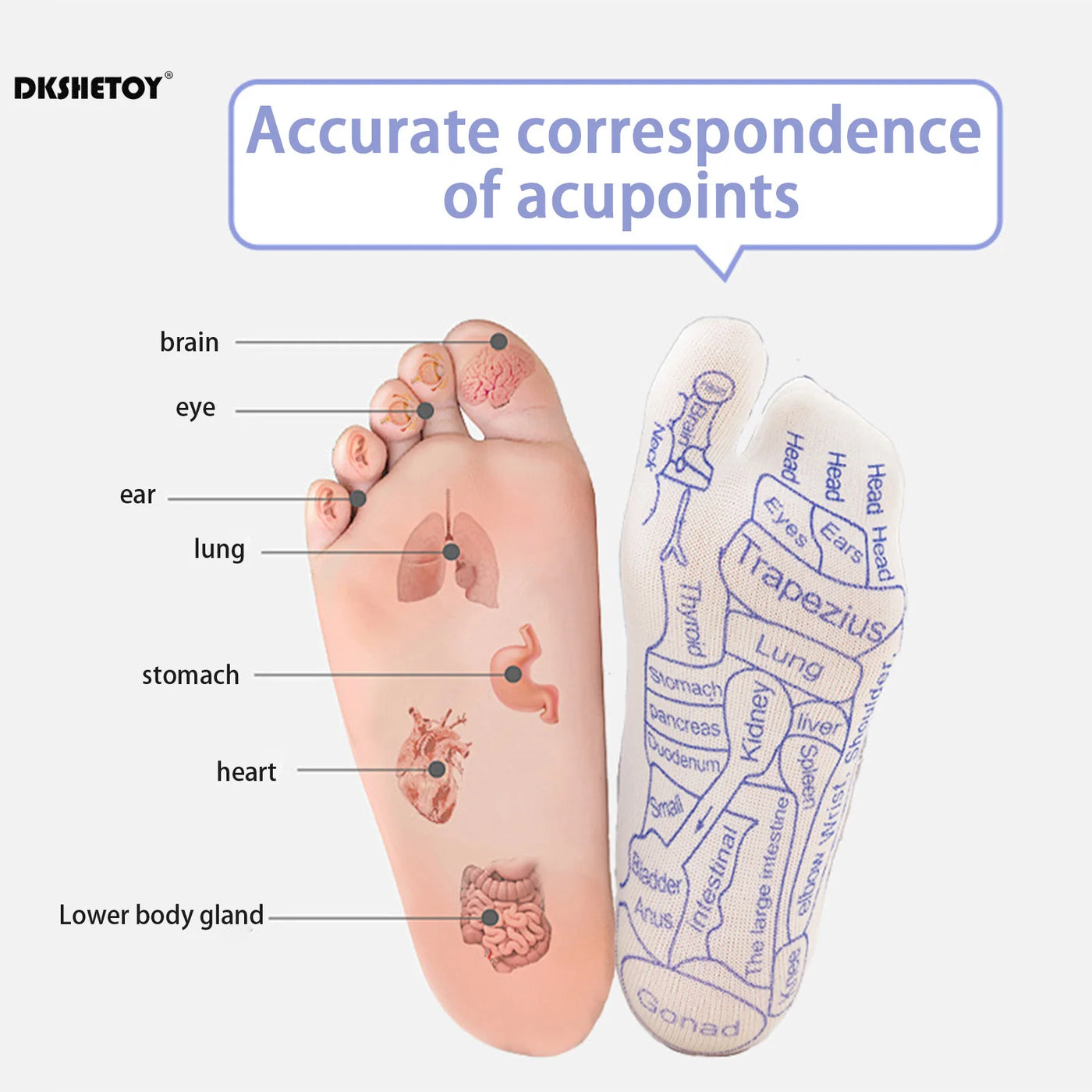 Acupuncture Point Socks With Foot Point Tool