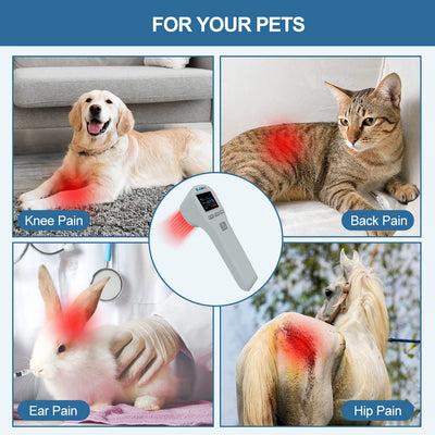 ZJKC Professional Pain Relief Physiotherapy Cold Laser Therapy Device for Pet Dog Cat Wound Injuries 650nm 808nm Home Handheld